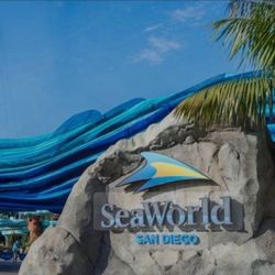 Seaworld tickets/boletos 