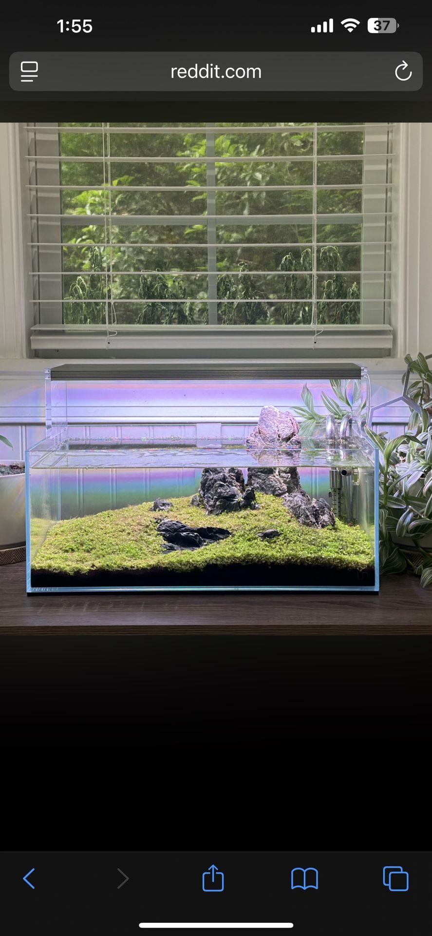 Uns Rimless Aquarium . Ultum Nature Systems