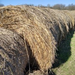 Hay Round Bales