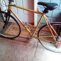 Voodoo Racing Bike 