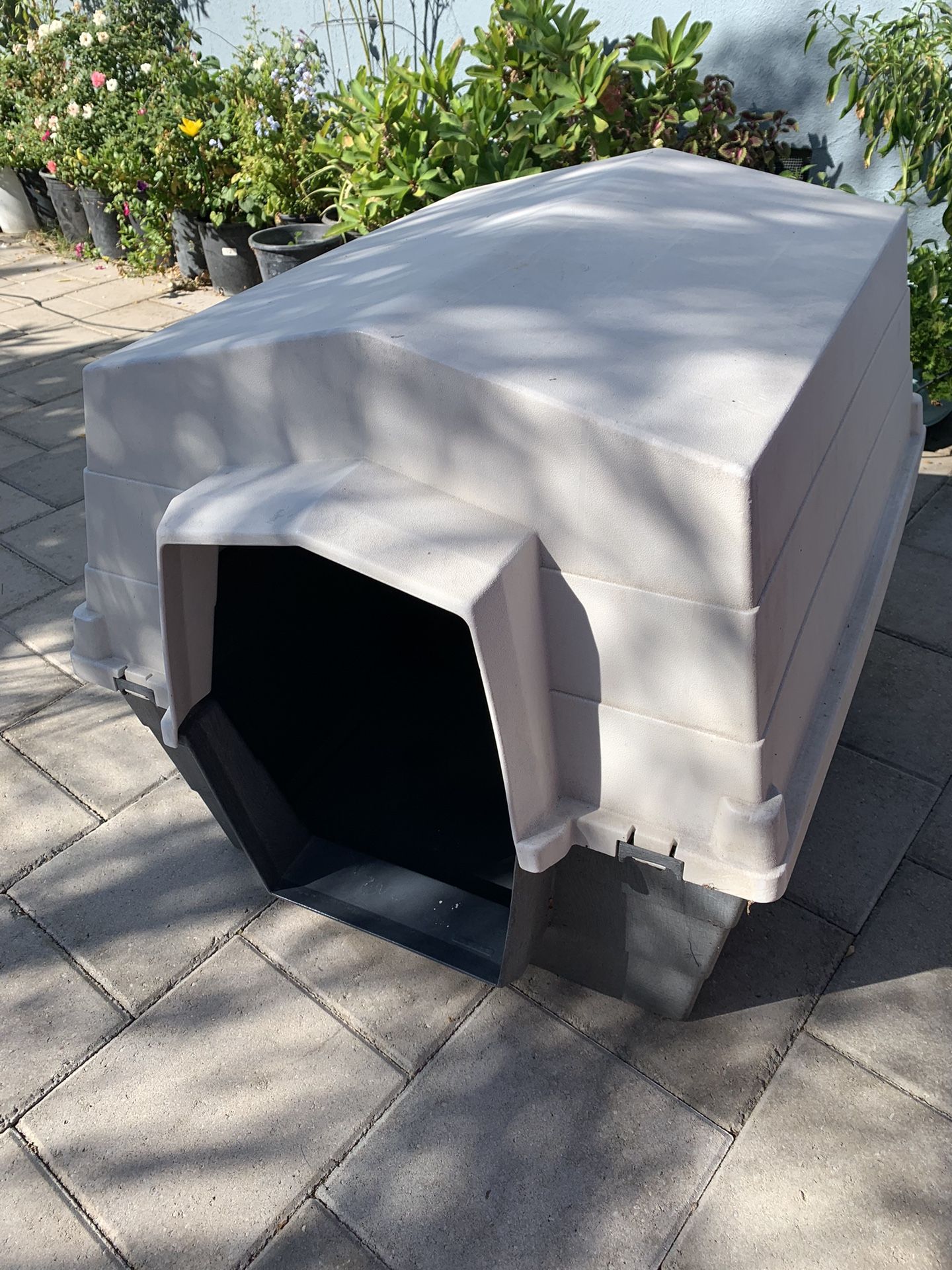 Dog House