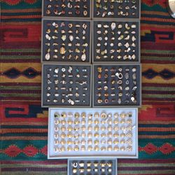 Rings And Display For Sale 