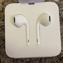 Apple Earphones