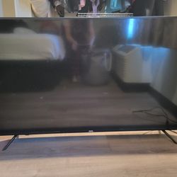55' Roku Tv