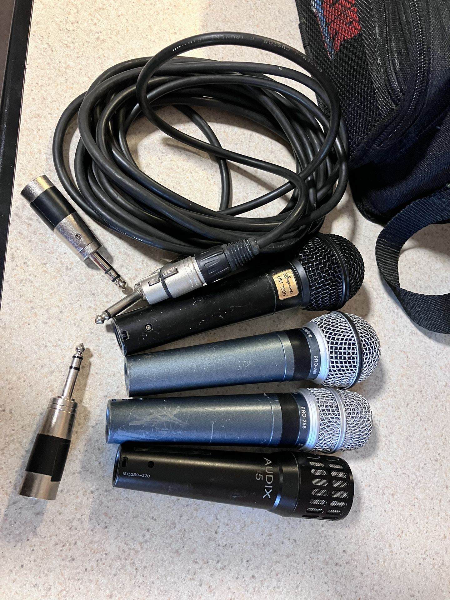 Microphones and gator carrying bag