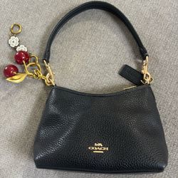 Black Small Coach Bag 