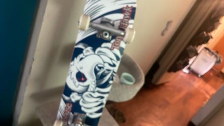 Tony hawk bird house skateboard