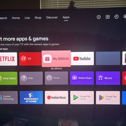 Sony 65” TV
