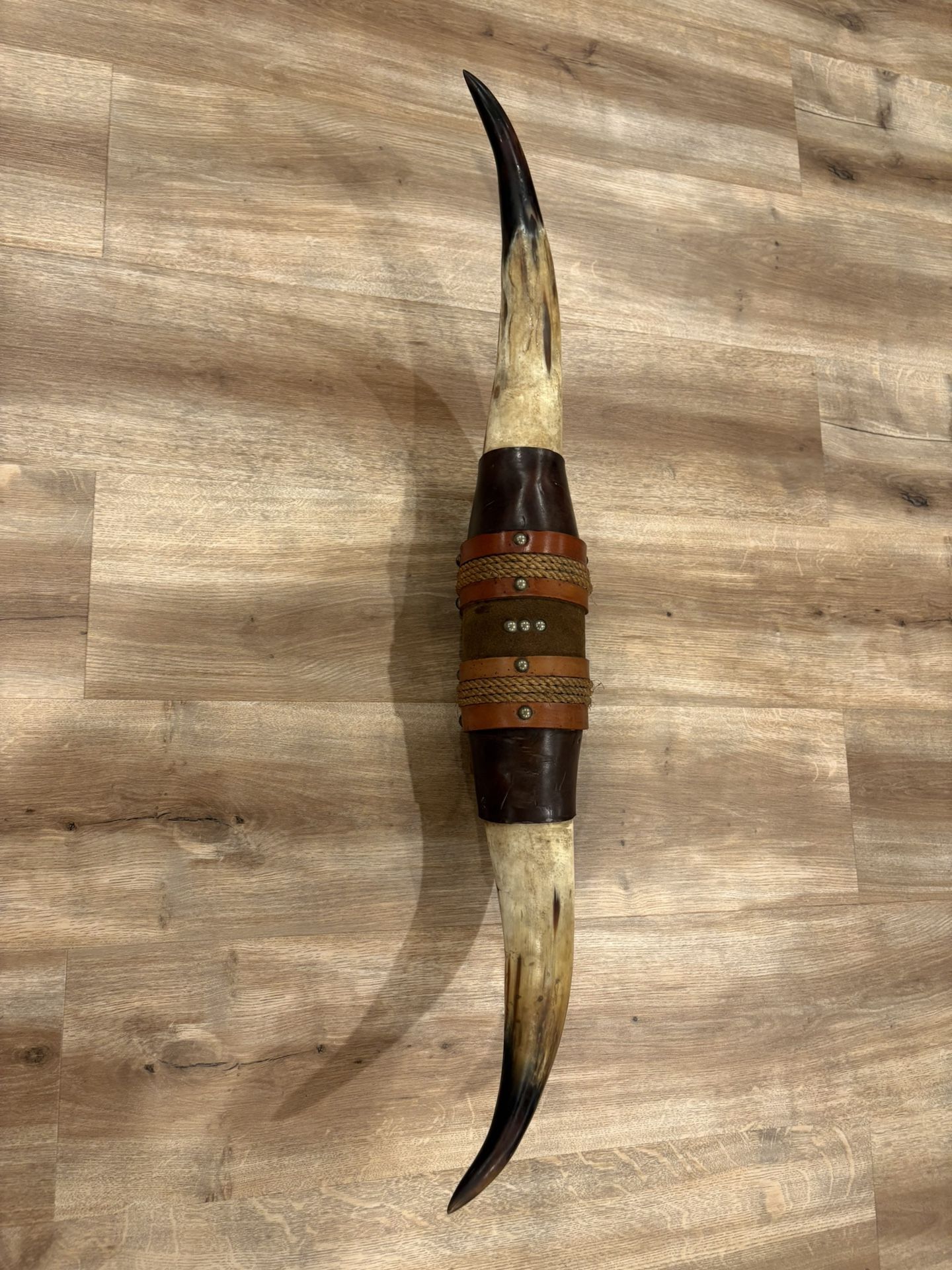 Bull Horns / Toro Cuervo