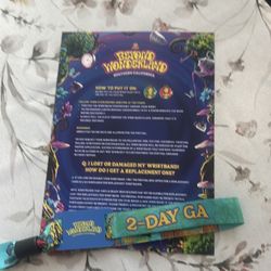 Beyond wonderland 2 day pass
