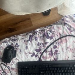 Give Me Pc Keyboard And Mouse