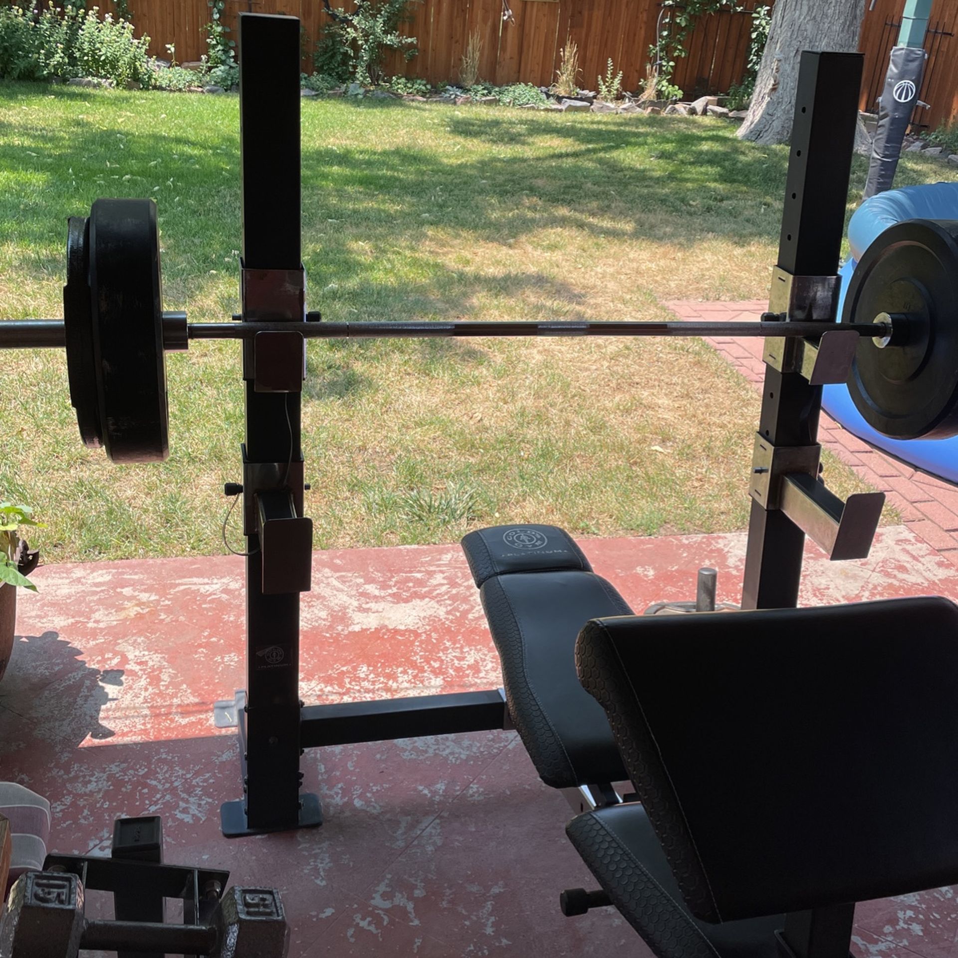 Gold’s Gym Platinum Bench Press