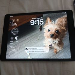 Apple IPad 9th Generation  