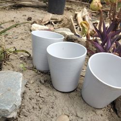 Three Small Pots