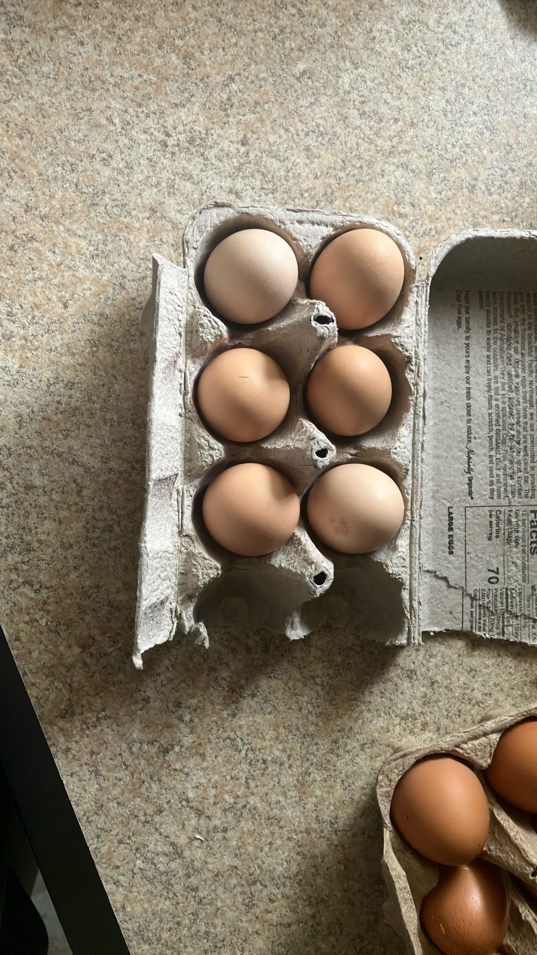 Eggs