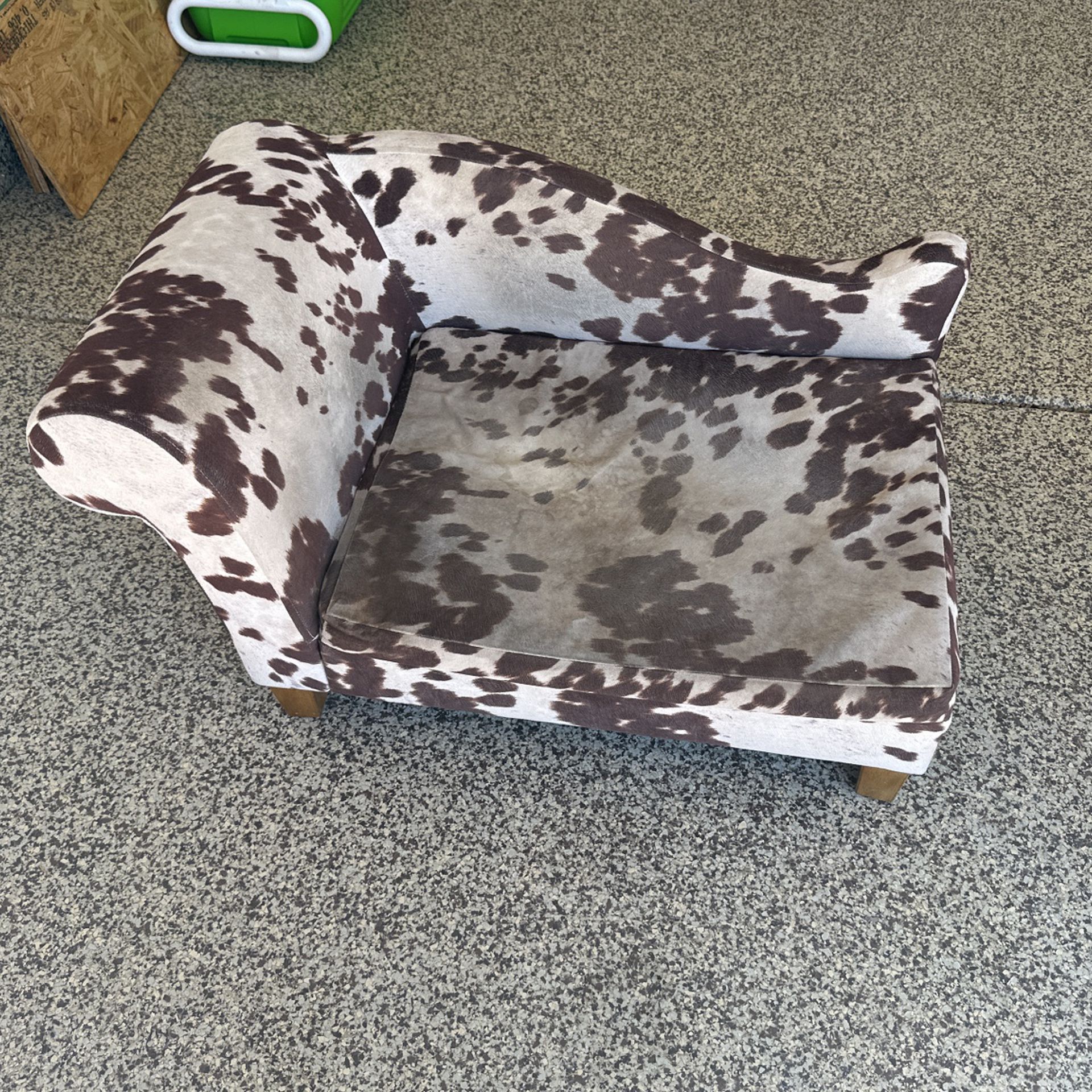 Used Dog Couch 