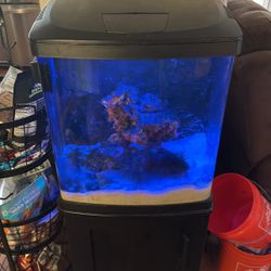 Biocube 16 Gal