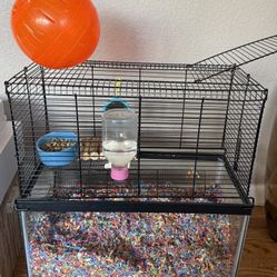 Gerbil Home