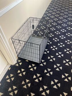 Cage dogs or cats