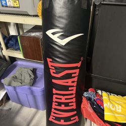 Everlast Heavy Bag (Boxing) 100lbs