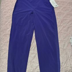 Nwt Womens Athleta Size 6 Brooklyn Lined Purple Pant