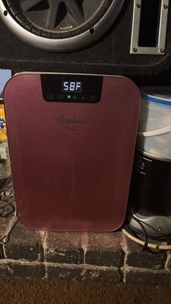 Mini Fridge