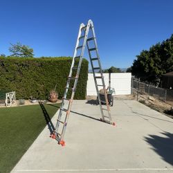 Telescoping/A Frame Ladder