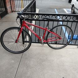 TREK Bicycle 