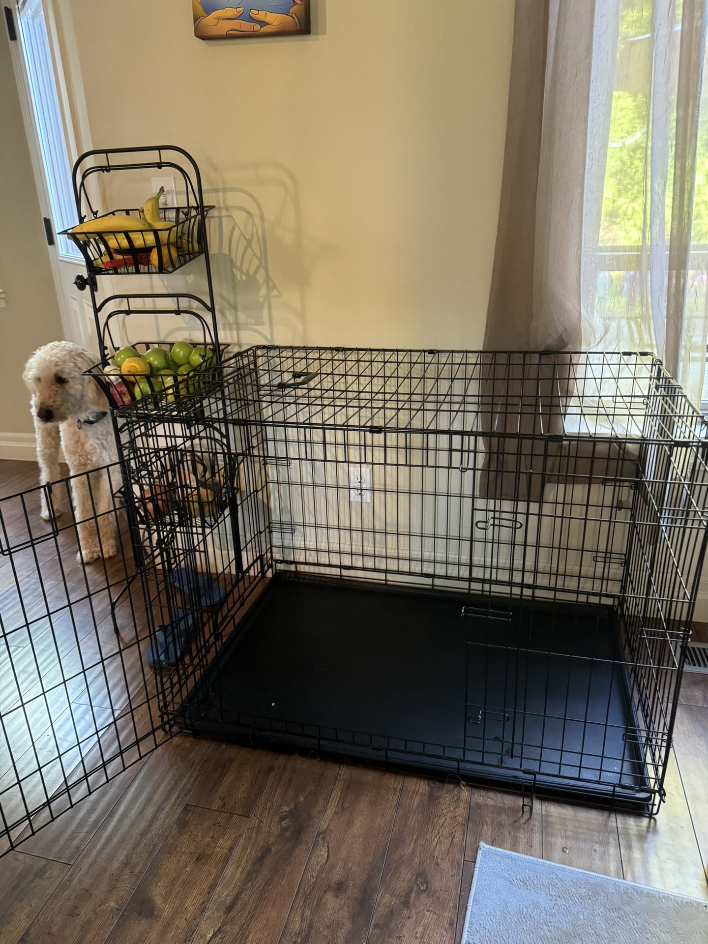 Large Dog Crate Perfect Condition 