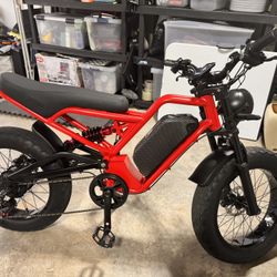 Akez E-Bike (Jaguar)