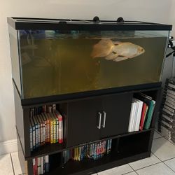 75 gallon fish tank 
