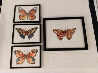 4 Beautiful Butterfly Prints