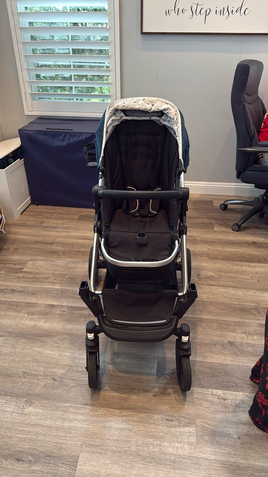 Double Mockingbird Stroller