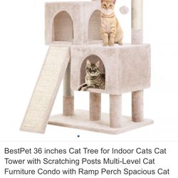 Cat Tree
