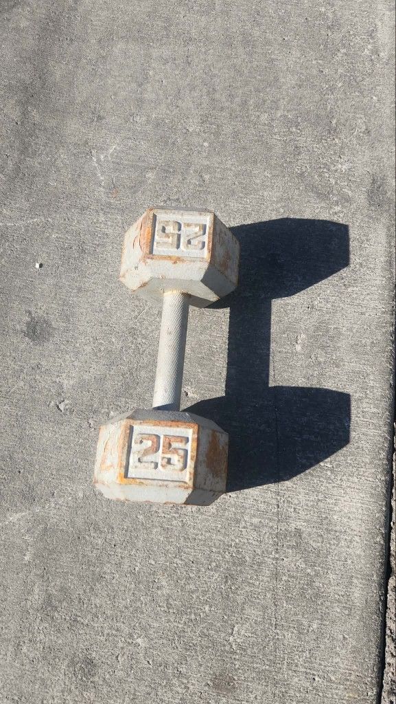 25lbs Dumbell
