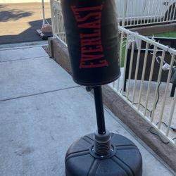 Everlast Flex Punching Bag 