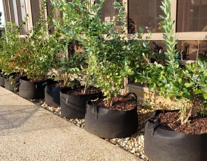 Grow Plants Even in Winter! Premium Grow Bags, Heavy Duty, In/Outdoor, Multifunctional! 