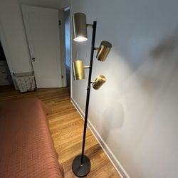 Floor Lamp
