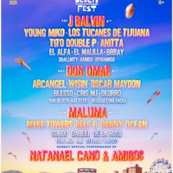 SUNDAY ONLY 2 VIP BAJA BEACHFEST TICKETS 