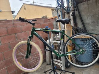 Giant Roam Mountain Bike