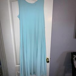 Brand New Size (Large) Dress 