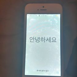 iPhone 5s