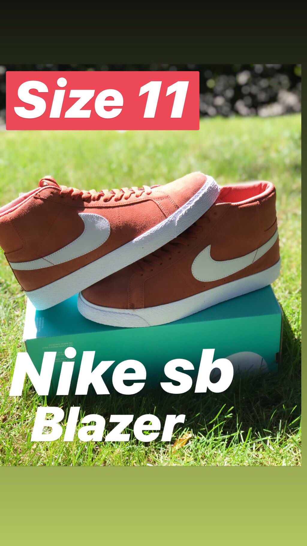 New Nike sb shoes blazers size 11