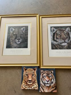 Tiger pictures 20.00 for all