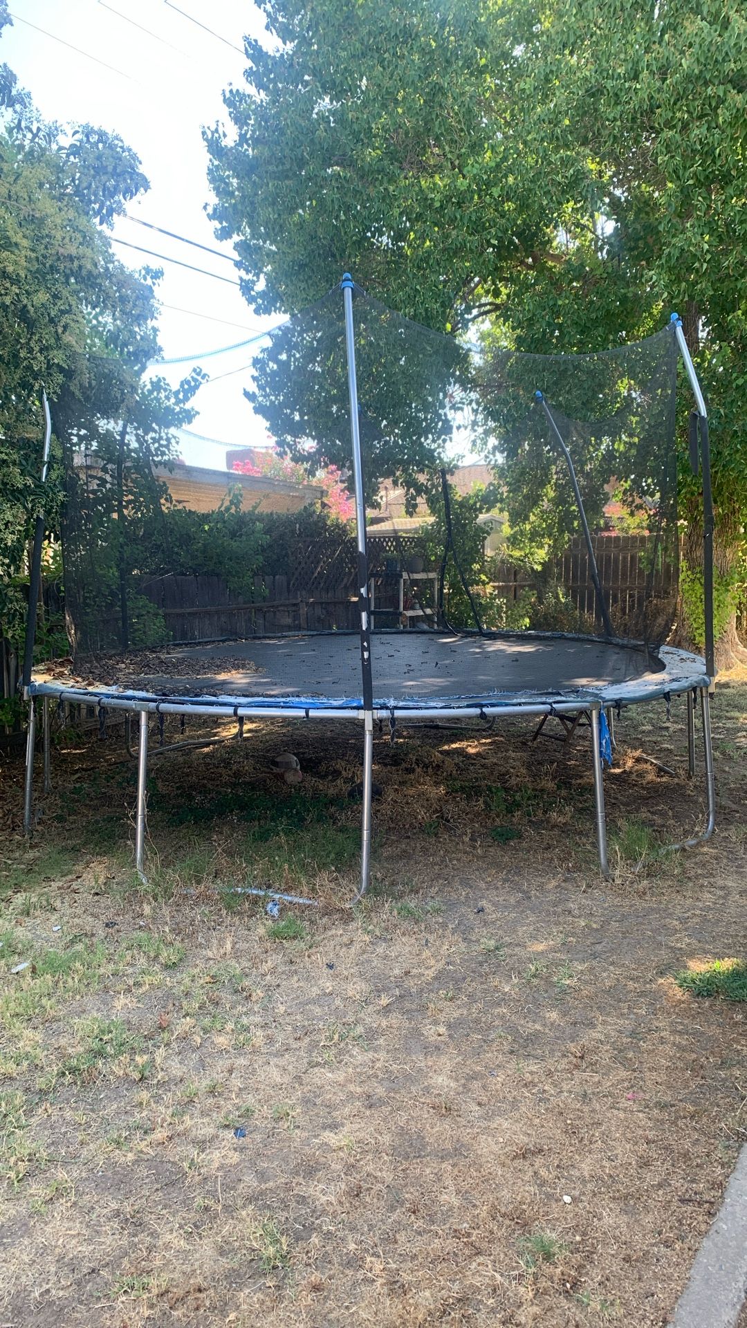 Trampoline