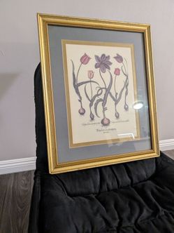 Frame print