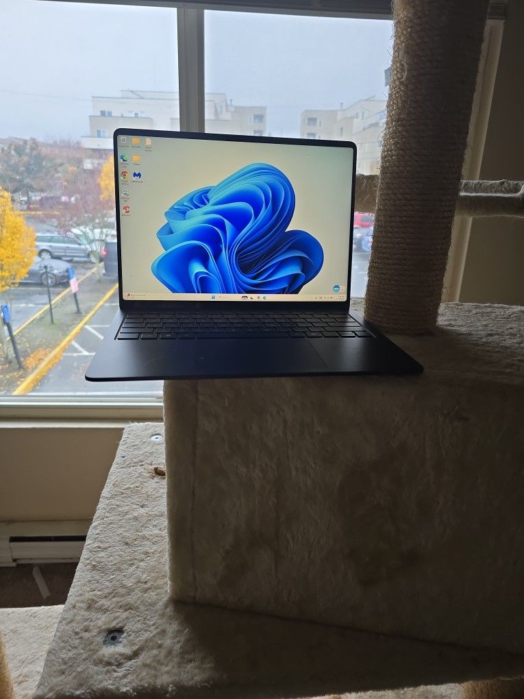 Microsoft Surface 2036