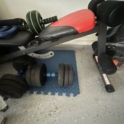 Training Bench 