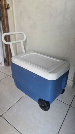 Cooler