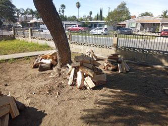 Firewood